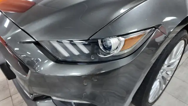 Ford Mustang view 10
