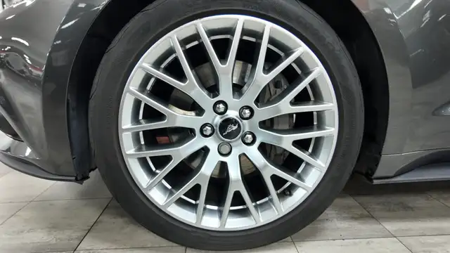 Ford Mustang view 11