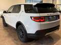 Land Rover Discovery Sport 2.0td4 4WD 163cv AUTOMATICA Bianco - thumbnail 5