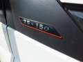 Iveco Daily 35-160 CENTINATO SEMINUOVO 33.000 KM - IVA ESPOSTA Blanc - thumbnail 26