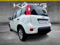 Fiat Panda MY24 1.0 Klima PDC Radio Blanc - thumbnail 4