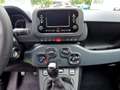 Fiat Panda MY24 1.0 Klima PDC Radio Bianco - thumbnail 11