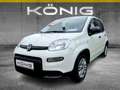 Fiat Panda MY24 1.0 Klima PDC Radio Blanc - thumbnail 1
