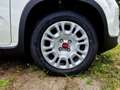 Fiat Panda MY24 1.0 Klima PDC Radio Blanc - thumbnail 6