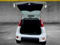 Fiat Panda MY24 1.0 Klima PDC Radio Blanc - thumbnail 5