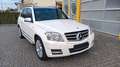 Mercedes-Benz GLK 220 SPORTPAKET / PANORAMA/ LEDER Mod. 12 Blanc - thumbnail 15