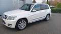 Mercedes-Benz GLK 220 SPORTPAKET / PANORAMA/ LEDER Mod. 12 Blanc - thumbnail 17