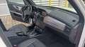 Mercedes-Benz GLK 220 SPORTPAKET / PANORAMA/ LEDER Mod. 12 Blanc - thumbnail 6