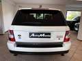 Land Rover Range Rover Sport 4.2 V8 s/c auto Supercharged Bianco - thumbnail 4