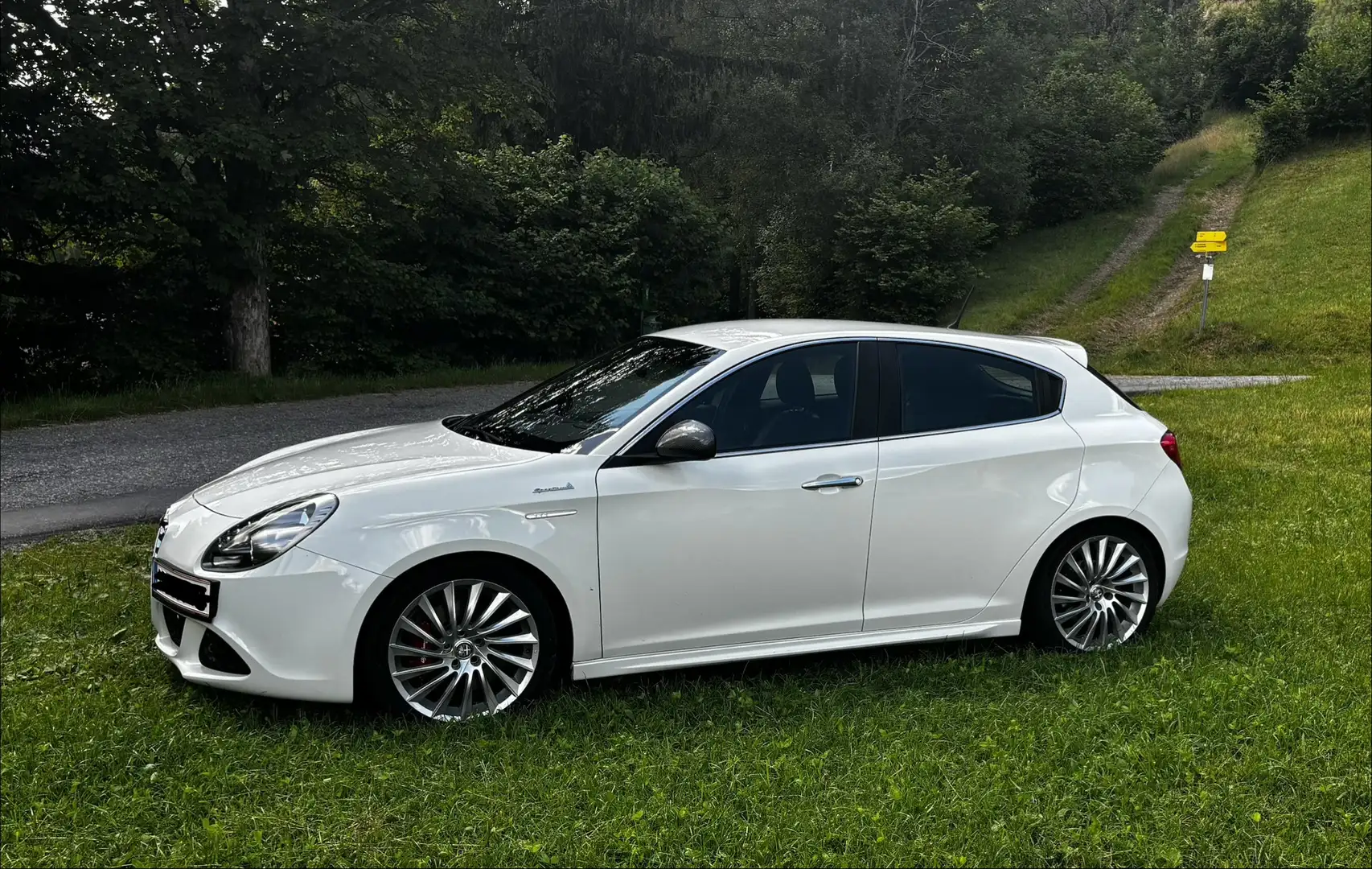 Alfa Romeo Giulietta 1,4 TB Super Edizione - 2