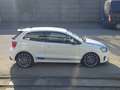 Volkswagen Polo R WRC Polo 3p 2.0 tsi R-WRC 330cv - thumbnail 6