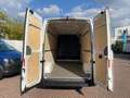Volkswagen Crafter L3H2 35 Kasten HD / Klima, PDC, RFK, App Weiß - thumbnail 19