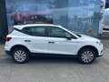 SEAT Arona Weiß - thumbnail 3