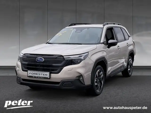 Subaru Forester Forester 2.0 Hybrid Active Automatik
