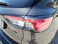 Ford Kuga 1.5 ecoblue Titanium Business 2wd 120cv auto Gris - thumbnail 13