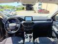 Ford Kuga 1.5 ecoblue Titanium Business 2wd 120cv auto Gris - thumbnail 5