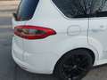 Ford S-Max 2.0 tdci Titanium 163cv auto dpf - thumbnail 15