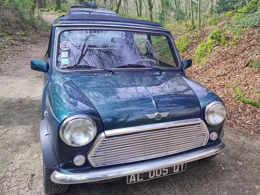 Rover MINI