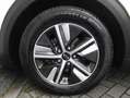 Kia Niro 1.6 GDi Hybrid DynamicLine | Navi | Clima | Cruise Wit - thumbnail 27