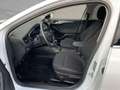 Ford Focus Titanium 1.0 EcoBoost #BT #PDCv Weiß - thumbnail 7