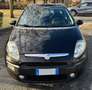 Fiat Punto Evo 5p 1.3 mjt Dynamic 75cv - thumbnail 1