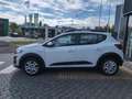 Dacia Sandero III Expression TCE 90 AHK Klima Kamera Sitzeheizun Blanc - thumbnail 3