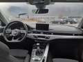 Audi A4 allroad 2.0 tdi 190cv 4x4 Gris - thumbnail 13