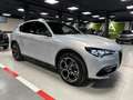 Alfa Romeo Stelvio Stelvio 2.2 t Veloce Q4 210cv auto Blanco - thumbnail 6