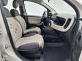 Fiat Panda 1.3 mjt 16v Easy s&s 95cv *EURO 6B* Beige - thumbnail 11