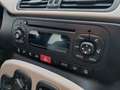 Fiat Panda 1.3 mjt 16v Easy s&s 95cv *EURO 6B* Beige - thumbnail 13