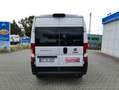 Fiat Fiat Professional  Serie 8 Ducato 33 L2H2 140 MJT Weiß - thumbnail 3