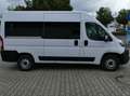 Fiat Fiat Professional  Serie 8 Ducato 33 L2H2 140 MJT Weiß - thumbnail 7