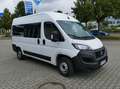 Fiat Fiat Professional  Serie 8 Ducato 33 L2H2 140 MJT Weiß - thumbnail 1