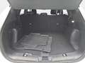 Ford Kuga KUGA 1.5 EB AUTO. ST-LINE NAVI LED KLIMAAUTO WINTE Blanc - thumbnail 15