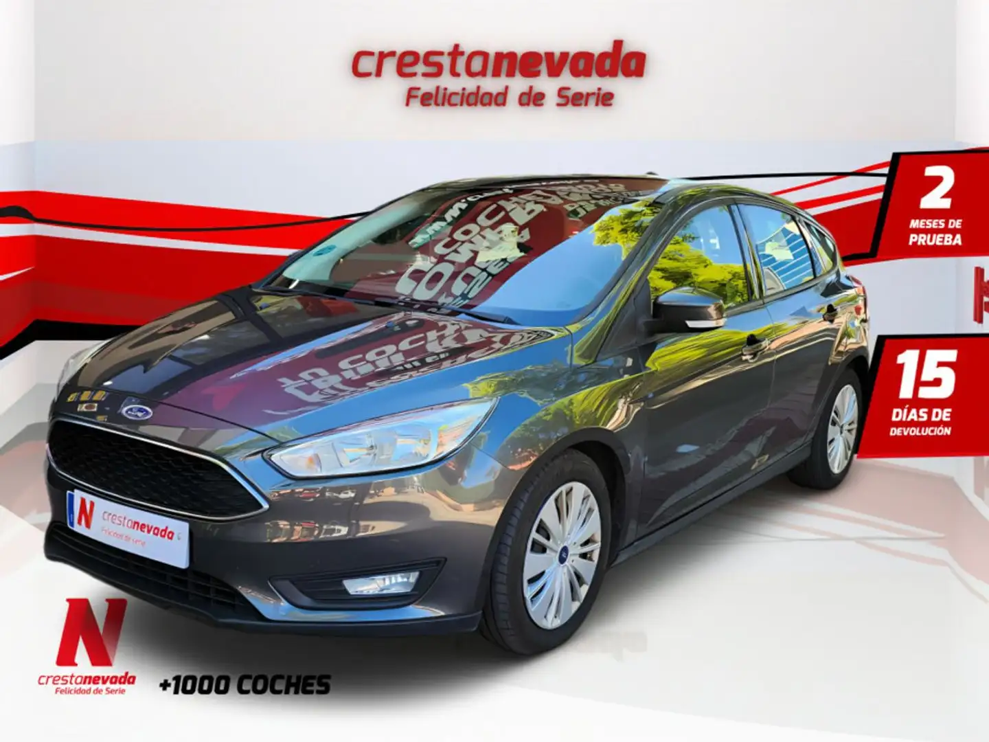 Ford Focus 1.0 Ecoboost Trend+ 125 Gris - 1