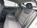 Hyundai IONIQ Style Elektro Kamera Navi Pano Weiß - thumbnail 9