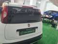 Fiat Panda Panda 1.3 mjt 16v Lounge s Blanc - thumbnail 13