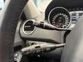 Mercedes-Benz ML 63 AMG M-klasse ACC Memory stoelen Stoelverw Carplay Negro - thumbnail 11