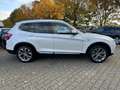 BMW X3 xDrive20d xLine Blanco - thumbnail 7