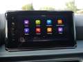 SEAT Arona 1.0 TSI Xperience LED 18"-LM NAVI SHZ Grau - thumbnail 8