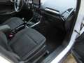 Ford EcoSport Cool & Connect Weiß - thumbnail 7