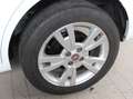Fiat Qubo Qubo 1.3 mjt 16v Lounge 80cv Blanc - thumbnail 14