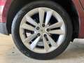 Renault Scenic Scenic 1.5 dci Luxe 110cv Marrone - thumbnail 5