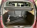 Renault Scenic Scenic 1.5 dci Luxe 110cv Marrone - thumbnail 15