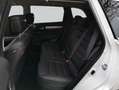 Renault Koleos BLUE dCi 185 4WD X-tronic INITIALE PARIS Alb - thumbnail 13