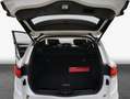 Renault Koleos BLUE dCi 185 4WD X-tronic INITIALE PARIS Alb - thumbnail 15