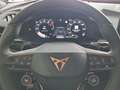 CUPRA Terramar 1.5 e-TSI 150 PS DSG Schwarz - thumbnail 12
