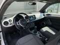 Volkswagen Beetle The Beetle 1.2 TSI White - thumbnail 7
