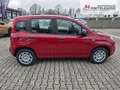 Fiat Panda Fiat Panda MY25 Pandina POP Hybrid | PDC | TOP Rouge - thumbnail 6