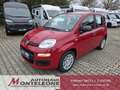 Fiat Panda Fiat Panda MY25 Pandina POP Hybrid | PDC | TOP Rouge - thumbnail 1